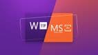 MS Office 2021 Professional Plus Retail & Windows 11 Professional Retail Bundle Key screenshot 1